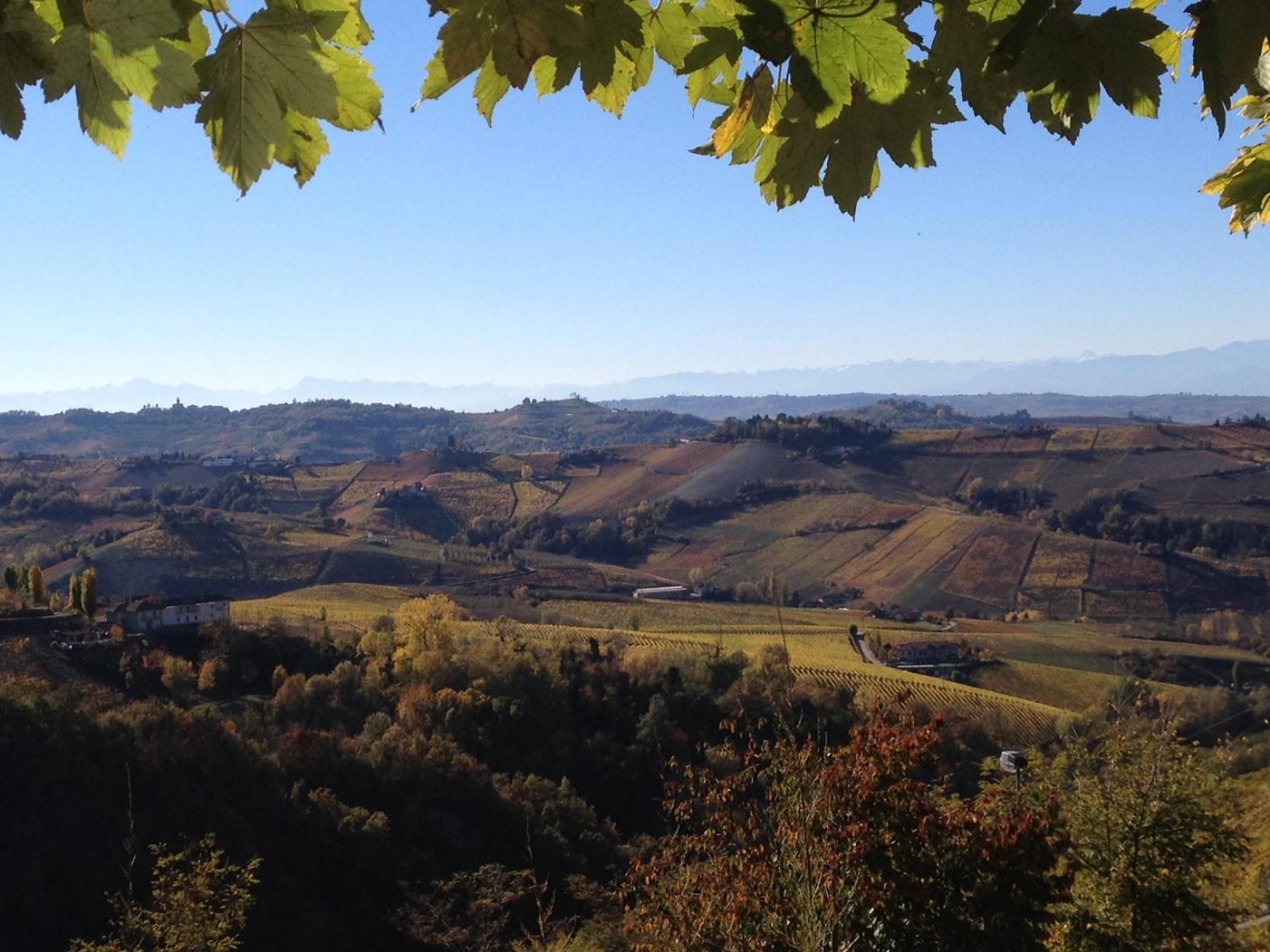 Viasavona46 Nel Cuore Delle Langhe Treiso Exterior foto